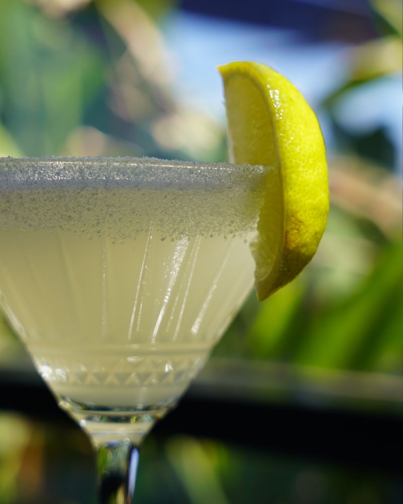 Close-up of a pale citrus cocktail with a sugared rim and lemon wedge glowing in the afternoon light