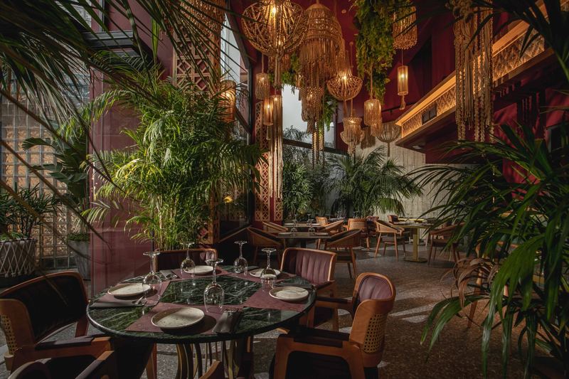 Outdoor lounge seating surrounded by palm plants and Mediterranean greenery
